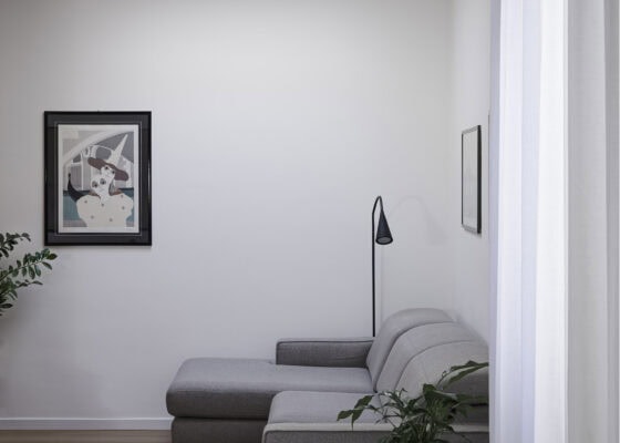 Angolo salotto con divano grigio, quadro a parete e pianta verde progettato da un architetto di interni a Piove di Sacco