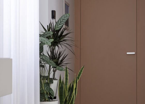 Dettaglio della porta filo muro color terra di Siena con gruppo di piante in vaso nella zona giorno